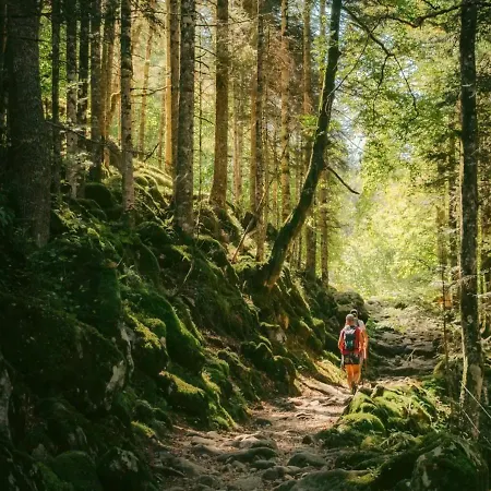 Le Bois Joli Cauterets