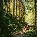 Le Bois Joli Cauterets