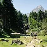 Le Bois Joli 3*