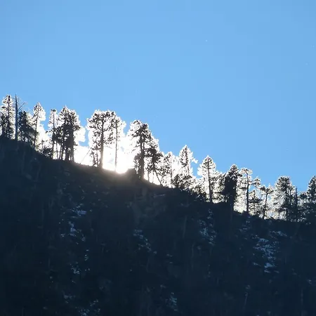 Le Bois Joli Hotel 3*